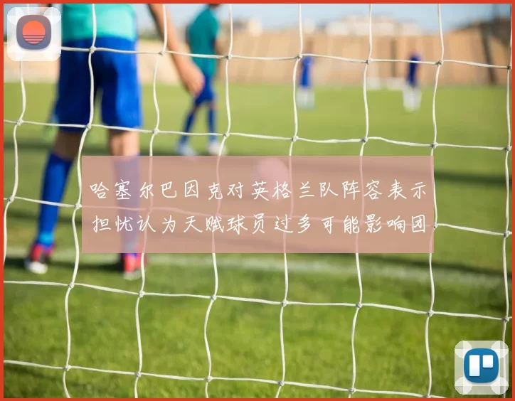哈塞尔巴因克对英格兰队阵容表示担忧认为天赋球员过多可能影响团队合作
